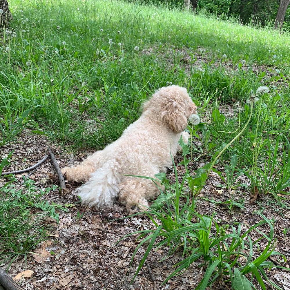 Meet your Posher, Robert